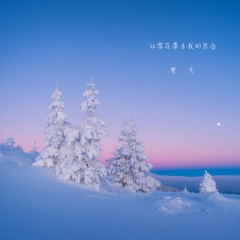 让雪花带走我的思念 (DJ何鹏版)
