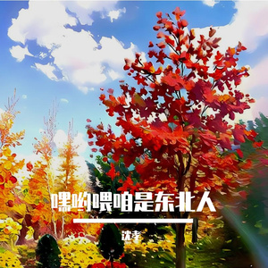 嘿哟喂咱是东北人