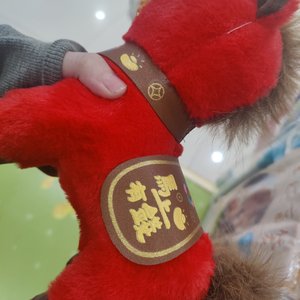 对联灯笼高高挂