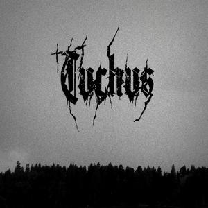 Tuchus