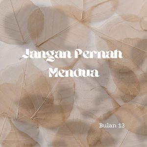 Biarkan Hujan Menemaniku