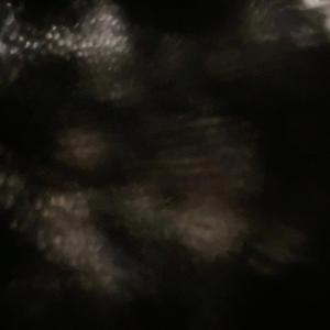 420 (feat. lil que$o)