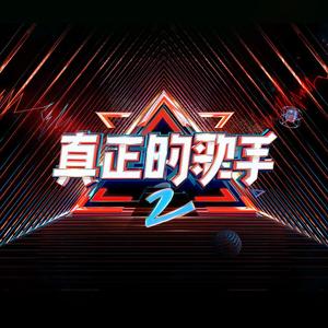梦想说明书（《真正的歌手2》主题曲）