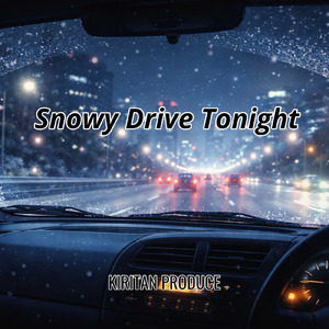Snowy Drive Tonight