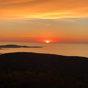 Sleepwalk in the Sun