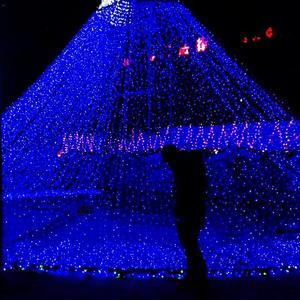 我努力活成你們想要的樣子（PROD. BY CA$H ONLY）