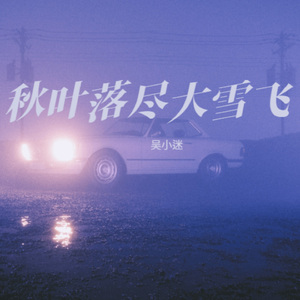 秋叶落尽大雪飞 (烟嗓版)