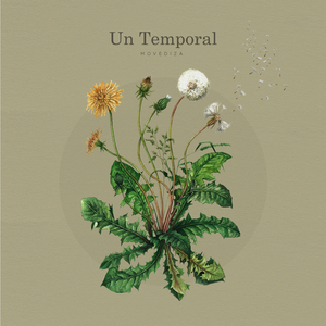 Un Temporal