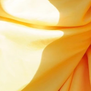 赤いバラ (feat. 我々104)