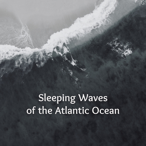 Heartbeat of the Ocean