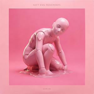 I Learned the Step Wrong