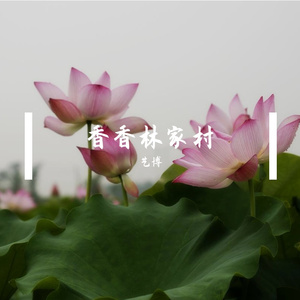 香香林家村