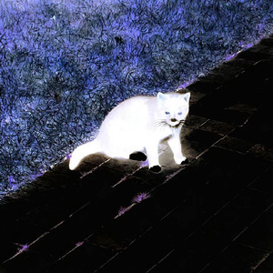 痛nabe （Prod.by 我在痛苦流泪）