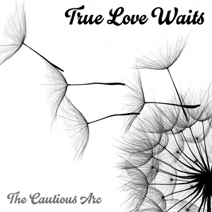 True Love Waits (Original Mix)