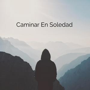 Caminar En Soledad