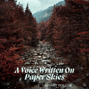 When The Stars Began Forgetting Us