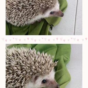 你真的要走了吗