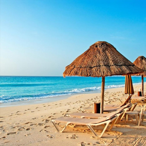 Fighting for Freedom