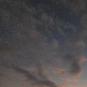 绽放光明