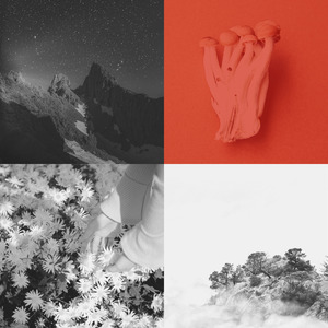 柔和的餐厅时刻