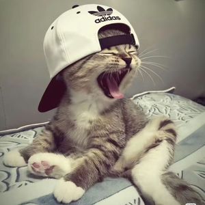 Kiz bala Ya 开心的心（2026）