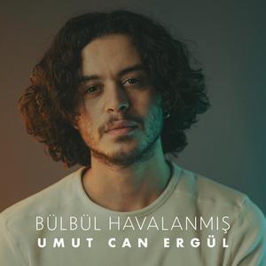 Bülbül Havalanmış
