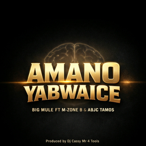 Amano Yabwaice