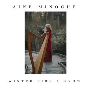 Winter Fire and Snow