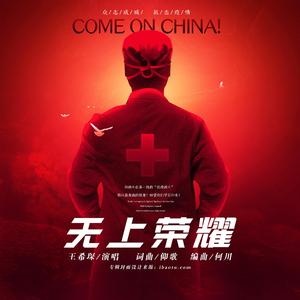 无上荣耀(致敬医护工作者版)