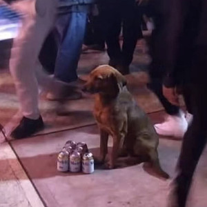 Her dress (Instrumental Version)