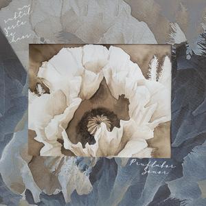 Huit Cyprès pour les Ovipares d'Oxembourg