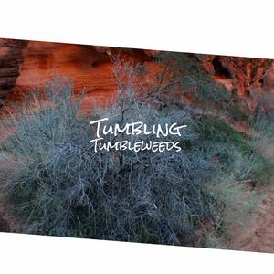 I'll Meet You In Church Sunday Morning