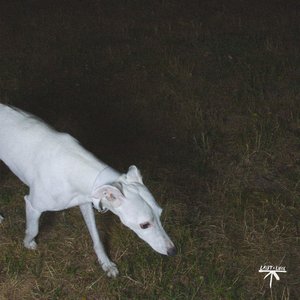 Right Shoes, Wrong Party