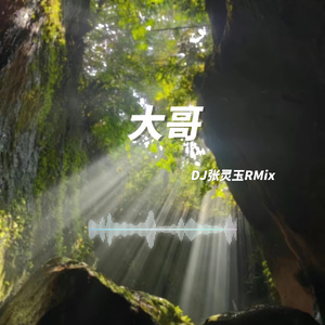 卫兰-大哥 DJ张灵玉RMix
