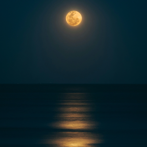 在那遥远的地方