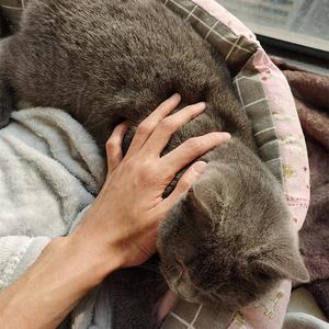 演员（翻自：薛之谦）