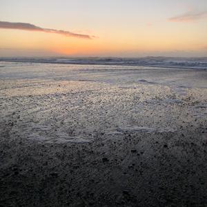 Mesopelagic Wanderer