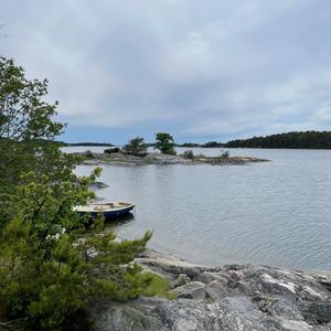 Jag såg en havsörn vid Ängskärs klippor