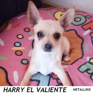 HARRY EL VALIENTE