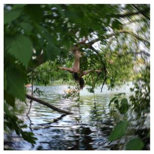 Offline (feat. Zobi) (Live) (Live)