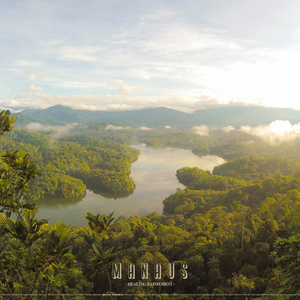 Walking In The Rainforest