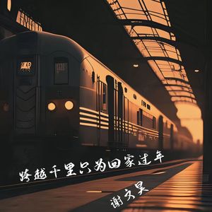 跨越千里只为回家过年