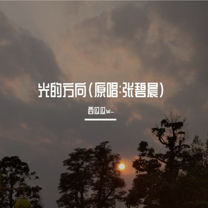 光的方向（原唱:张碧晨)（翻自 张碧晨）