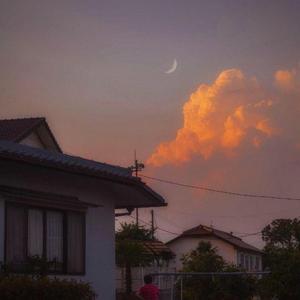 浪漫世界（纯音乐）