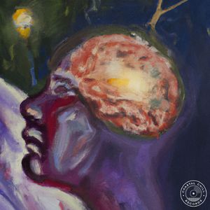 Nocturnal Mind