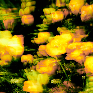 Good Day (Feat.박재범, 1iL)