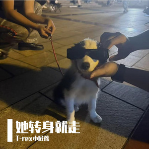 她转身就走（Prod.Gr33nart Beats）