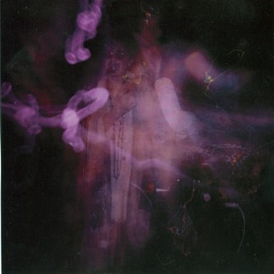 Love in a Plain Brown Envelope