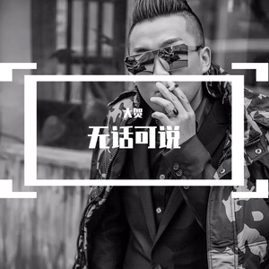 无话可说