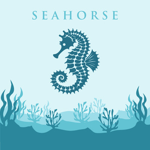 Seahorse